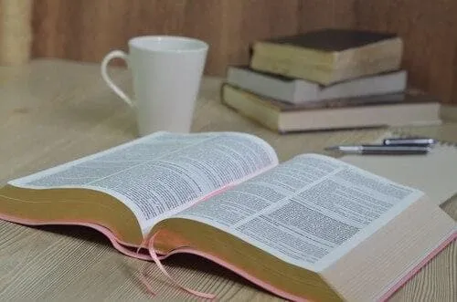 Biblia de Estudio Herencia Reformada - Simil piel (Rosado)